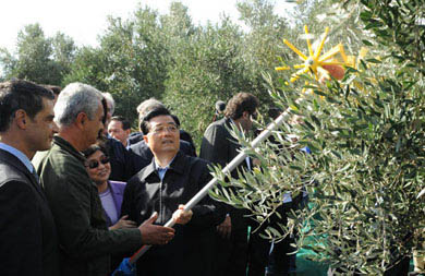 ��������ϯ�õ綯��魲�ժ�����ճ�������